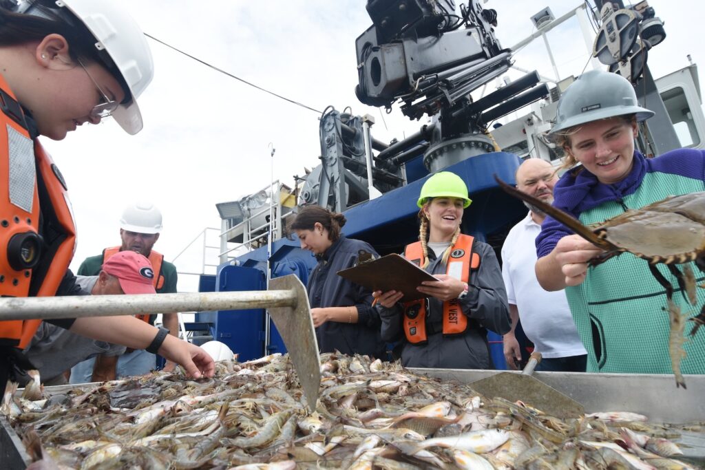 Madison Neely (green helmet) takes notes on a clipboard while her classmates help her sift through marine life captured during a trawl in the Wassaw Sound. 